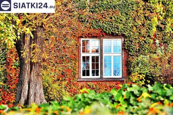 Siatki Ostrołęka - Siatka wspomagająca wzrost roślin pnących na ścianie dla terenów Ostrołęki